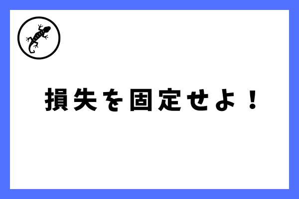 損失はトレード前にきちんと固定しておきましょう